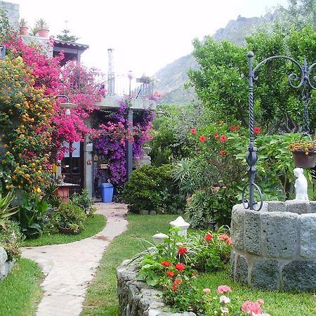 Vila Casa Vacanze Il Pozzo Ischia Island Exteriér fotografie