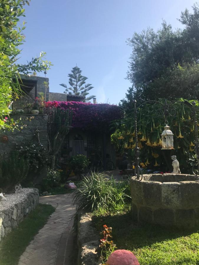 Vila Casa Vacanze Il Pozzo Ischia Island Exteriér fotografie