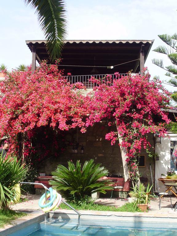Vila Casa Vacanze Il Pozzo Ischia Island Exteriér fotografie
