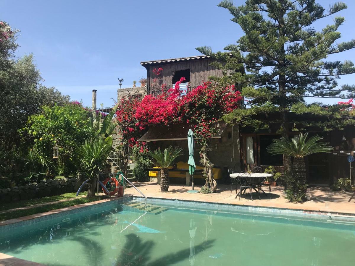 Vila Casa Vacanze Il Pozzo Ischia Island Exteriér fotografie