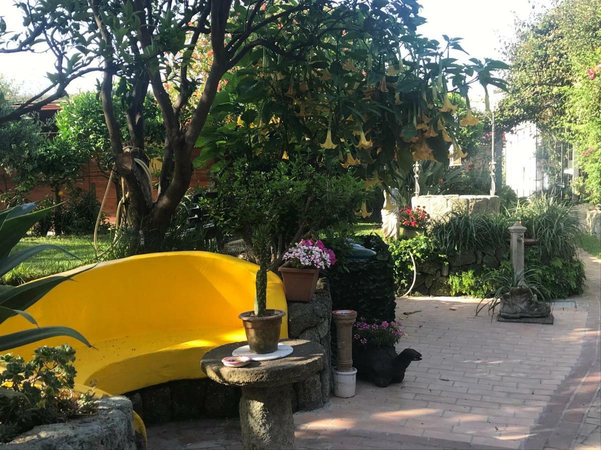 Vila Casa Vacanze Il Pozzo Ischia Island Exteriér fotografie