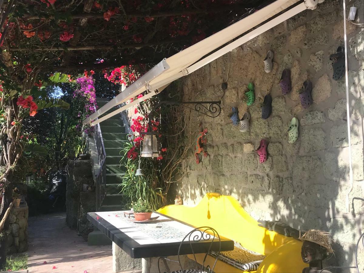 Vila Casa Vacanze Il Pozzo Ischia Island Exteriér fotografie